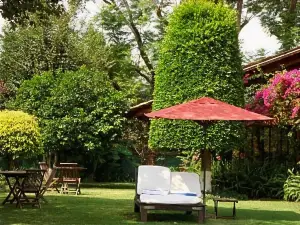 Las CÚPULAS Hotel & Restaurante