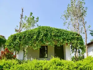 Dudhwa Jungle Lore by Cappuccino Resorts