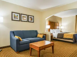 Comfort Inn & Suites Oxford South