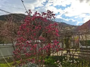 Casa Carmen