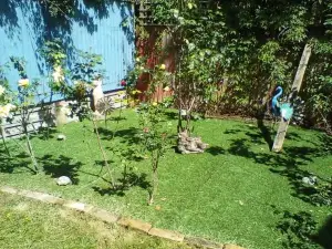 The Annex - Guest Gardens