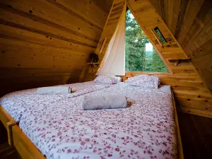 Glamping Forest Edge