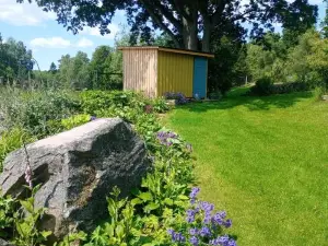 Damwildfarm in Rollerbü Südschweden