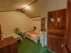 Cabinas Balcon del Mar Tortuguero
