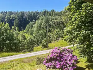 person holiday home in Brekke-By Traum