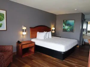 아메리카스 베스트 밸류 인 & 스위트 유콘 오클라호마 시티