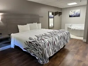 레드 루프 인 & 스위트 스완지