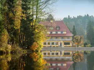 Hotel Waldsee