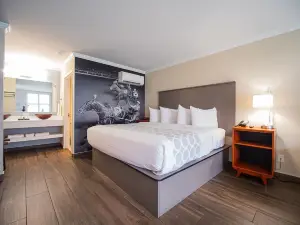 Equus Inn I75
