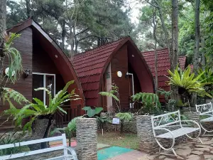 Pijar Resort powered by Cocotel