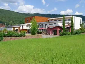 Main-Vinotel Weingut Helmstetter
