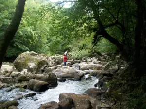 Number 22 - le Dorat - Apartment One with Garden & Free Parking