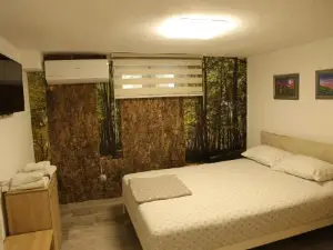 Ema Artistic House