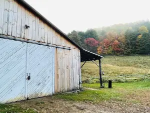 Barn stay with dairy goats! Your clean cozy spot in the barn is waiting for you