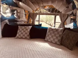 SILVER FOX ~ Airstream in Apple-Orchard ~15 minutes from Downtown Durango