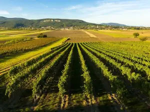 Office Base Bad Vöslau Motel