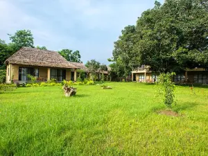Into the Wild Eco Resort