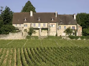 Aparthotel Adagio Access Dijon République