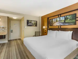 Best Western Queens Gold Coast