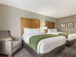 Comfort Inn Jasper South