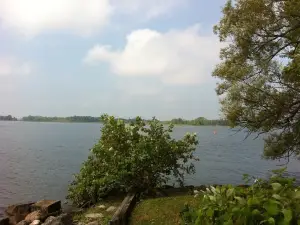 Seymour Point Cottage