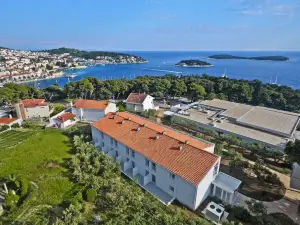 Violeta Hvar