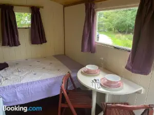 The Shepherd's Hut - Wild Escapes Wrenbury Off Grid Glamping - Ages 12 and over