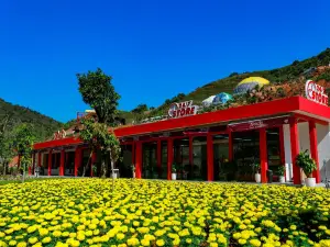 Moc Chau Island - Bach Long Glass Bridge