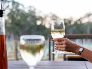 Ironbark Hill Villa 3 Saperavi