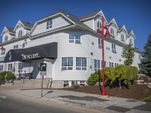 Seacliffe Inn