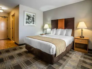 メインステイ スイーツ キャスパー