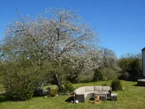 Les Marronniers Gîtes