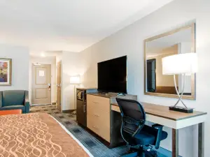 Comfort Inn & Suites East Ellijay