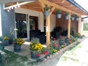 Apartman Tea