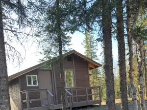 Cozy quiet One Bedroom Cabin with short walk to Little Susitna River in Houston.