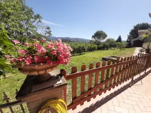 Villa Pacchini, a complete holiday experience