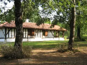 In the heart of the Landes forest, traditional half-timbered gîte, 4pers.