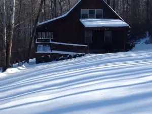 Woodland secluded cabin on 7 acres, with private dock and kayaks