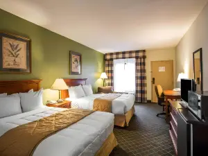 Clarion Inn & Suites Aiken South