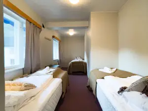 Hotell Nesbyen