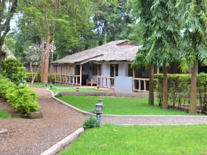 Honey Badger Lodge