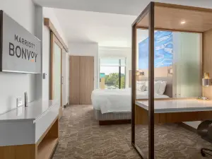 SpringHill Suites Bradenton Downtown/Riverfront