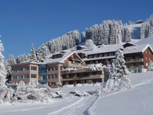 Ferien- Und Familienhotel Alpina Adelboden