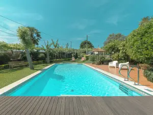 Quinta Sao Miguel de Arcos