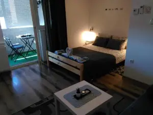 Studio Apartman Ždral