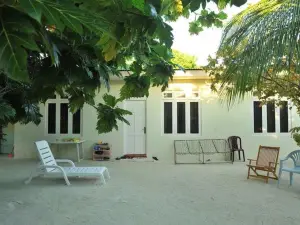 Venus Villa