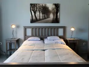 Kunfoglalas Apartmanhaz
