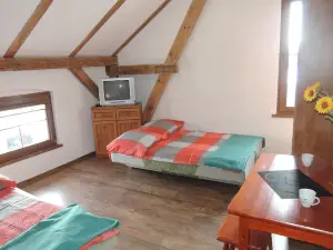 Semi-detached House in Ledzin for 14 Persons