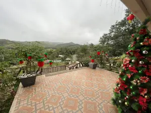 Nellis Place