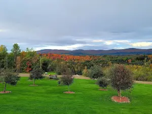 Bear Rock Suites
